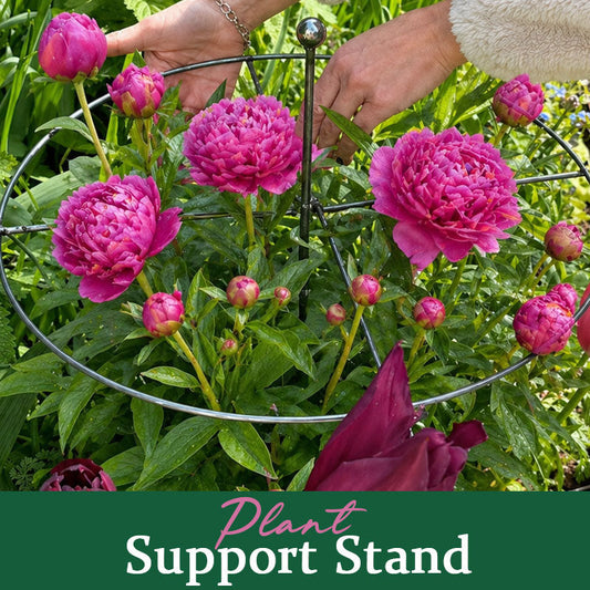 Summer Special: Plant Stands product image 2