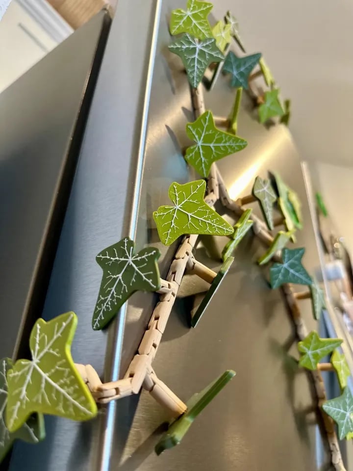 3D Ivy Fridge Magnets