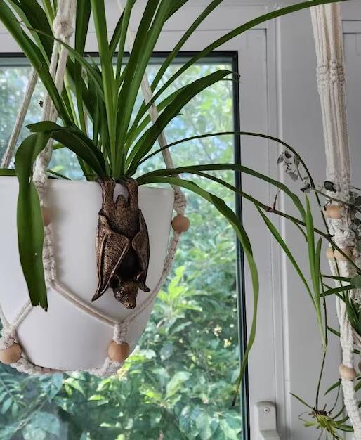 Bronze Bat Pot Buddy, Pot Hanger, Bat Gifts, Gift Boxed(11 x 5.5 x 4.5 cm)