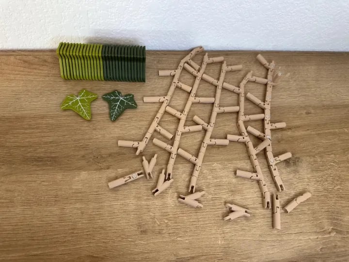 3D Ivy Fridge Magnets