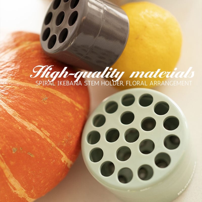 🎁Spiral Ikebana Stem Holder💐 mysite