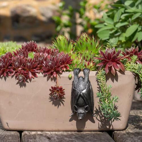 Bronze Bat Pot Buddy, Pot Hanger, Bat Gifts, Gift Boxed(11 x 5.5 x 4.5 cm)