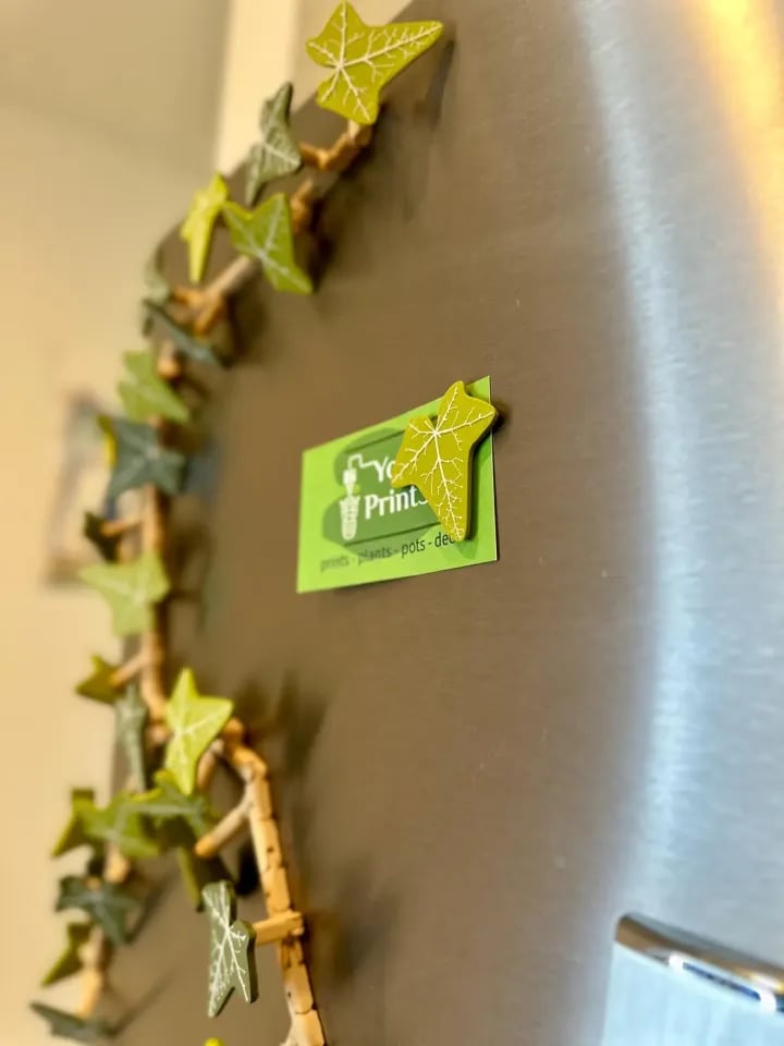 3D Ivy Fridge Magnets