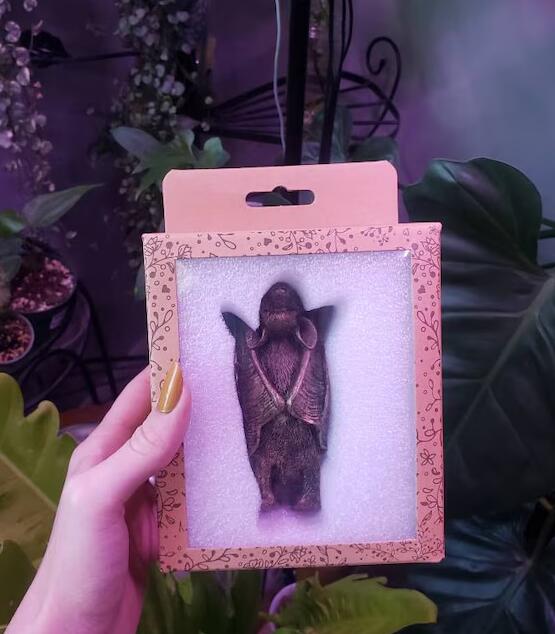 Bronze Bat Pot Buddy, Pot Hanger, Bat Gifts, Gift Boxed(11 x 5.5 x 4.5 cm)