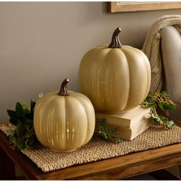 🎃Twinkle Light Pumpkins