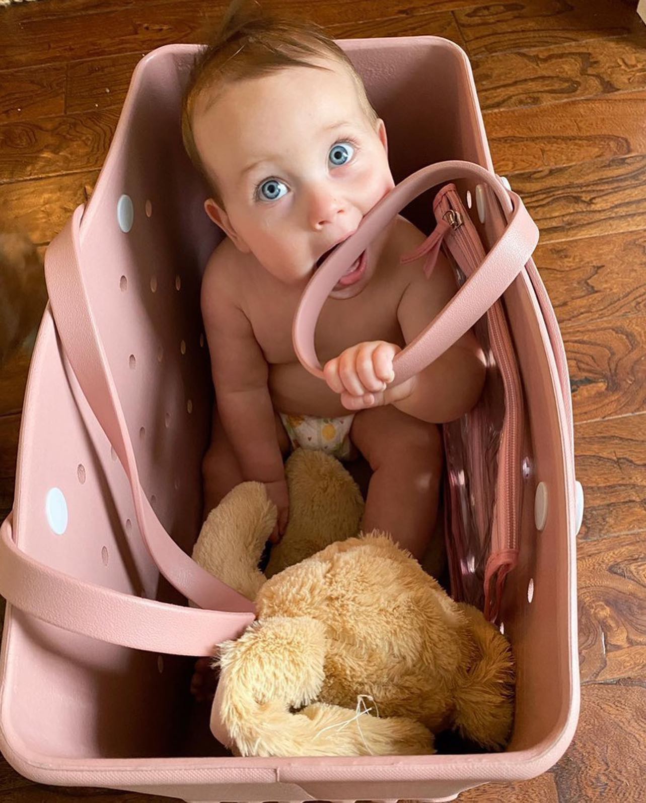 ☀️Last Day 70% OFF - Mummy Bag - Large Waterproof Washable Tote Bag mysite