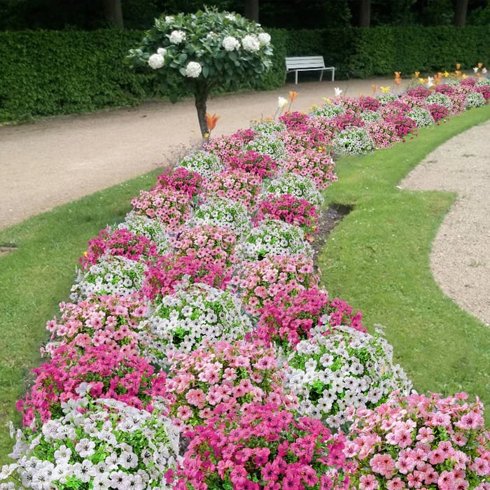 🔥Outdoor Plants - Artificial flowers mysite