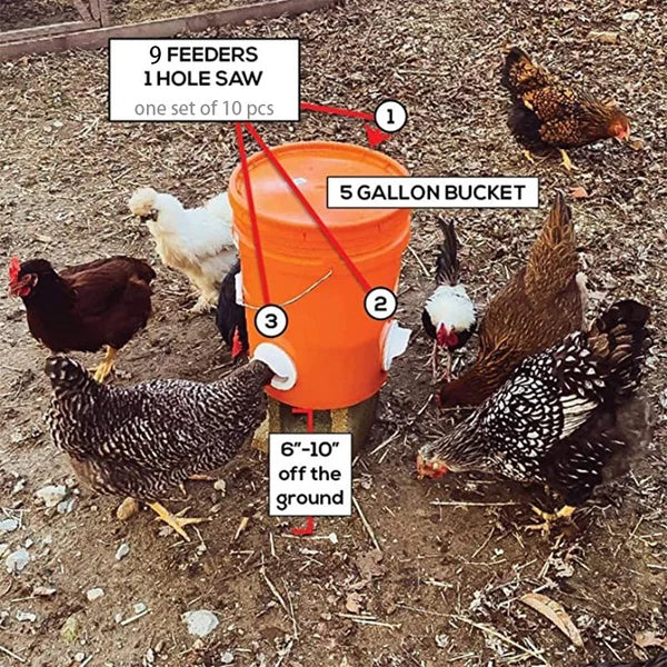 (🔥2022 NEW-50% OFF)DIY Chicken Feeder