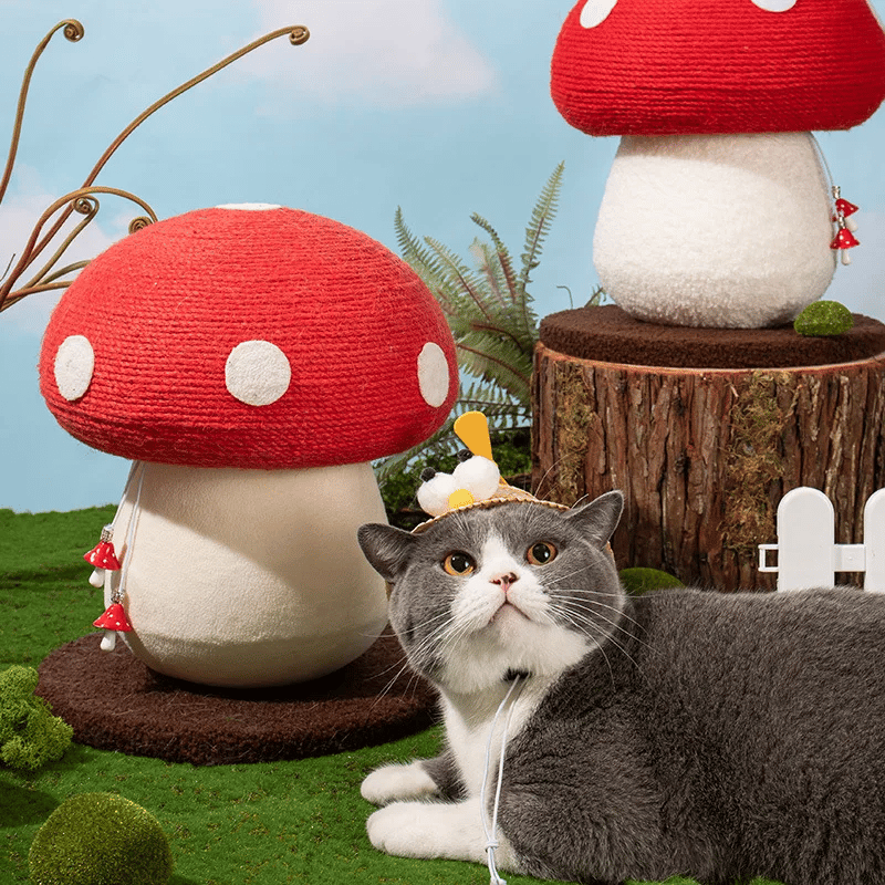 🔥 Hot sale 🔥Mushroom Cat Scratcher&Buy two and get free shipping!