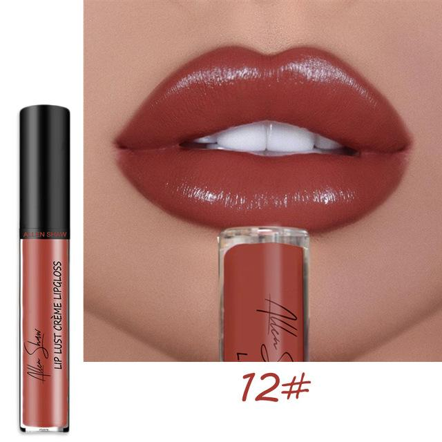 12 COLOR WATERPROOF LONG LASTING MOIST LIP GLOSS PLUMPER LIQUID LIPSTICK mysite