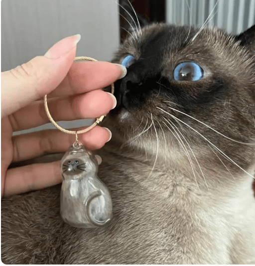 [Buy More Save More]10Pcs Cat Fur Collection Capsule, Cat Fur Memory Charm, Which Can Be Used as a Keychain