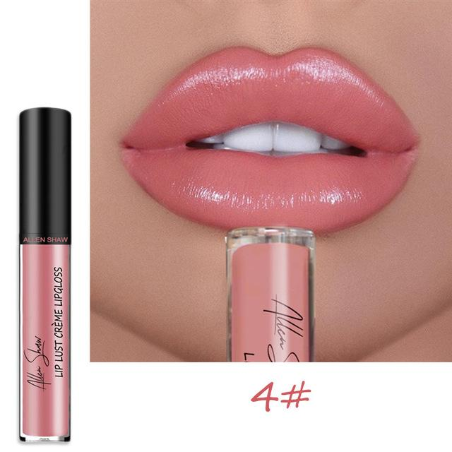 12 COLOR WATERPROOF LONG LASTING MOIST LIP GLOSS PLUMPER LIQUID LIPSTICK mysite