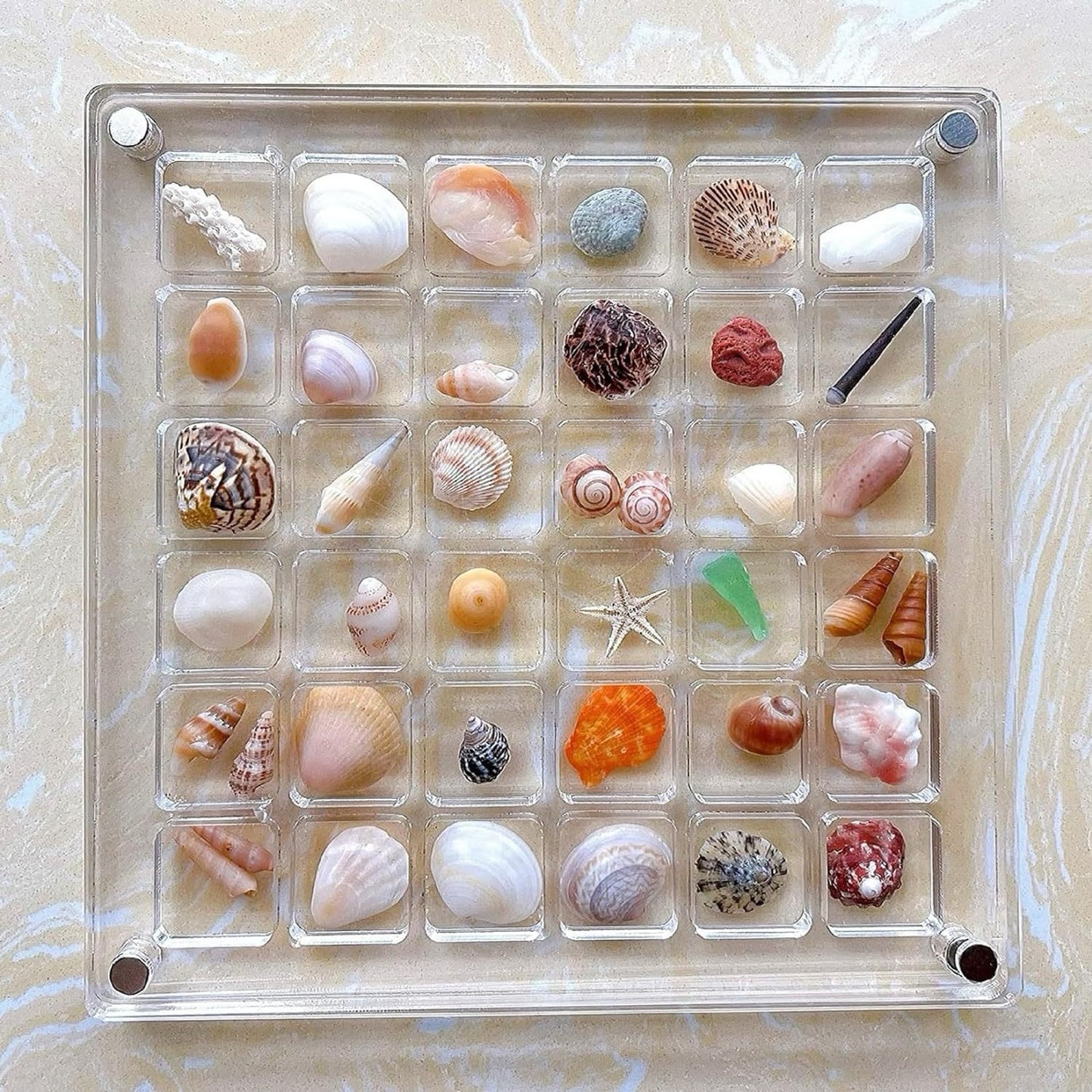 Acrylic Magnetic Seashell Storage Box