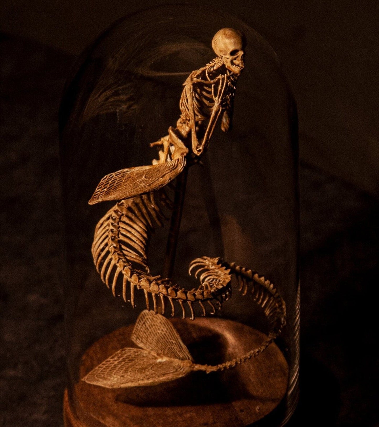 🔥🔥🔥Holiday Day Promotion 40% OFFWENDIGO SKELETON CURIOSITY CABINET  - Buy two and get free shipping!