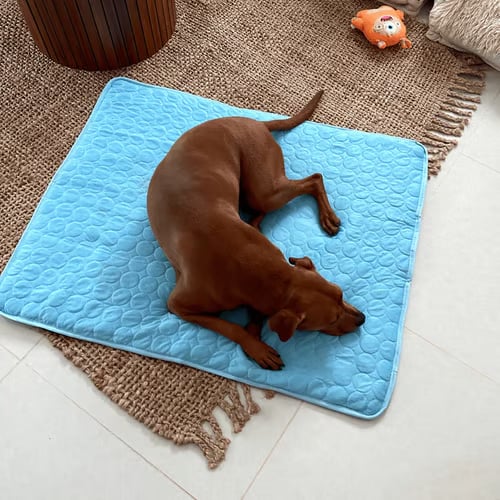 🐶Dog Cooling Mat (4x more effective)