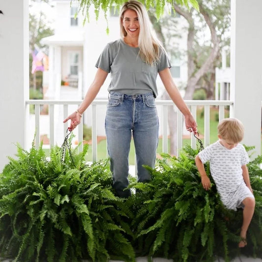 💥This Week's Special Price $19.99🌱UV Resistant Lifelike Artificial Boston Fern mysite