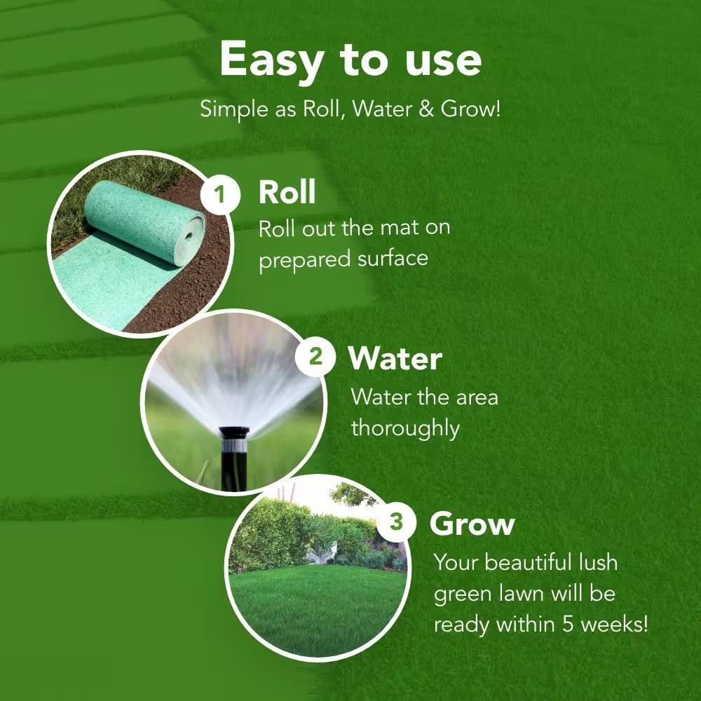 🔥BUY 3 GET 3 FREE (6PCS)🔥 Grass Seed Mat- 2MIN TO INSTALL mysite