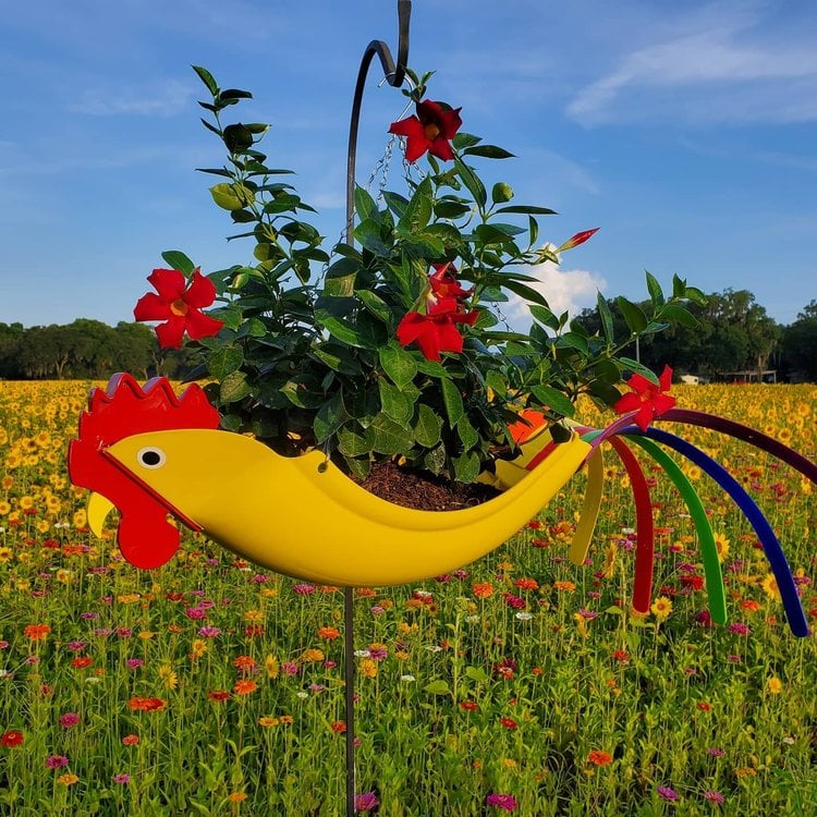 Colorful bird hanging planter