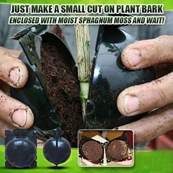 🌱Plant Root Growing Box mysite