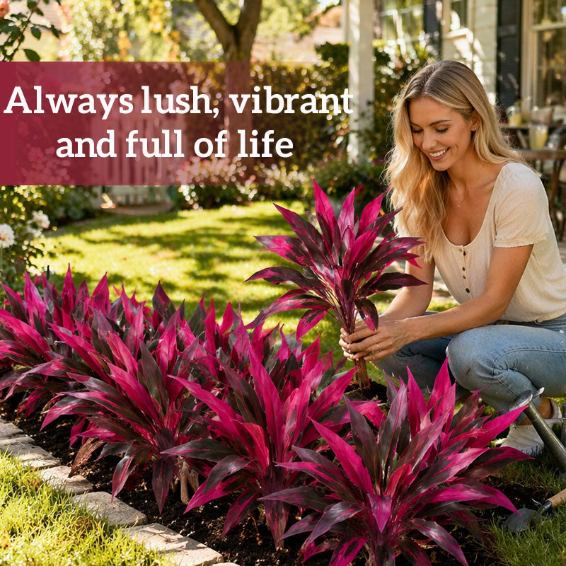 Artificial Red Cordyline Ti Plant – No-Fuss Year-Round Vibrant Foliage product image 6