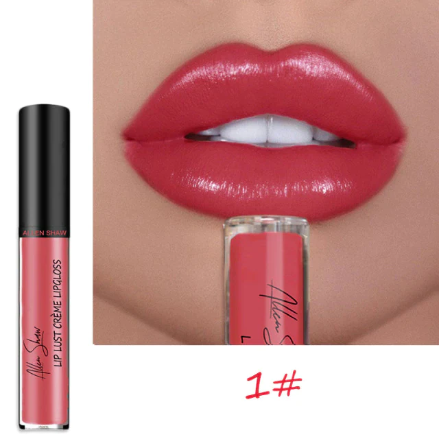 12 COLOR WATERPROOF LONG LASTING MOIST LIP GLOSS PLUMPER LIQUID LIPSTICK mysite