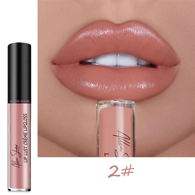 12 COLOR WATERPROOF LONG LASTING MOIST LIP GLOSS PLUMPER LIQUID LIPSTICK mysite