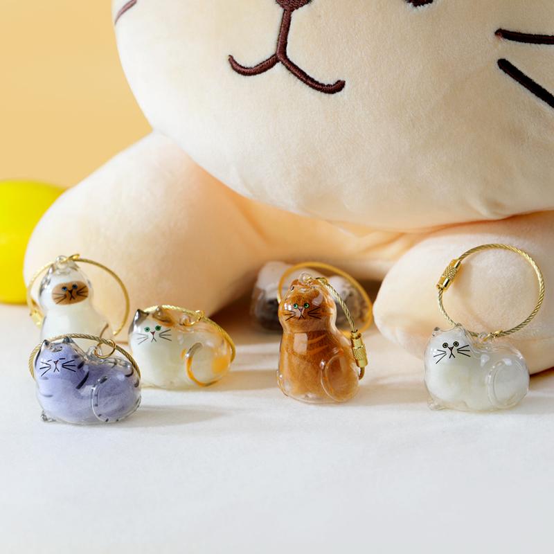 [Buy More Save More]10Pcs Cat Fur Collection Capsule, Cat Fur Memory Charm, Which Can Be Used as a Keychain