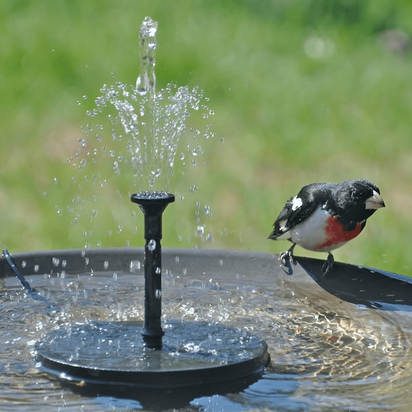 🔥BIG SALE 49% OFF🔥🔥Solar-Powered Fountain Kit mysite