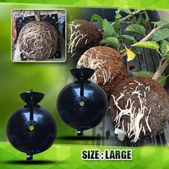 🌱Plant Root Growing Box mysite