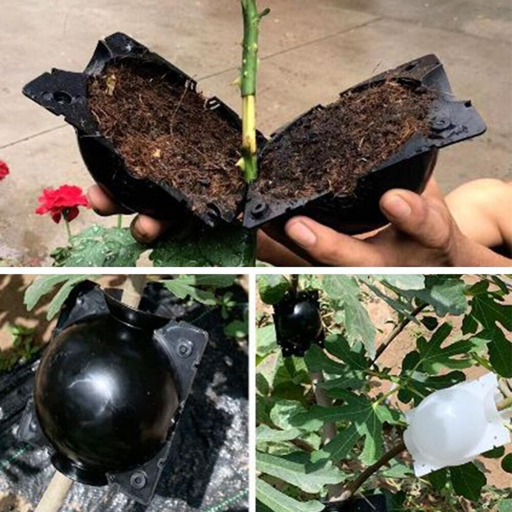 🌱Plant Root Growing Box mysite