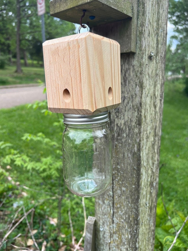 ✨Hot Sale 50% OFF--🔥Best Carpenter Bee Trap