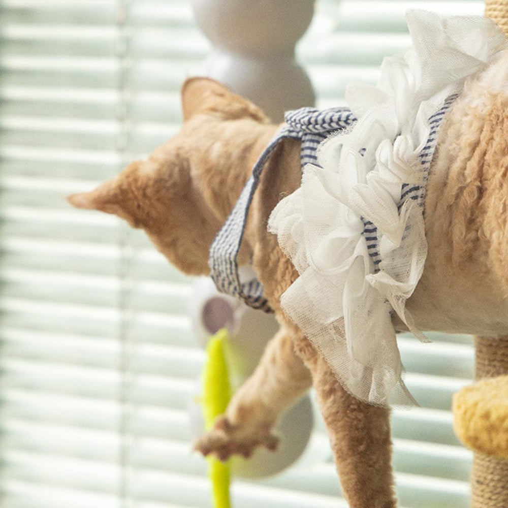 Interactive Electric Caterpillar Cat Toy