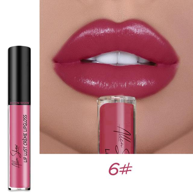 12 COLOR WATERPROOF LONG LASTING MOIST LIP GLOSS PLUMPER LIQUID LIPSTICK mysite