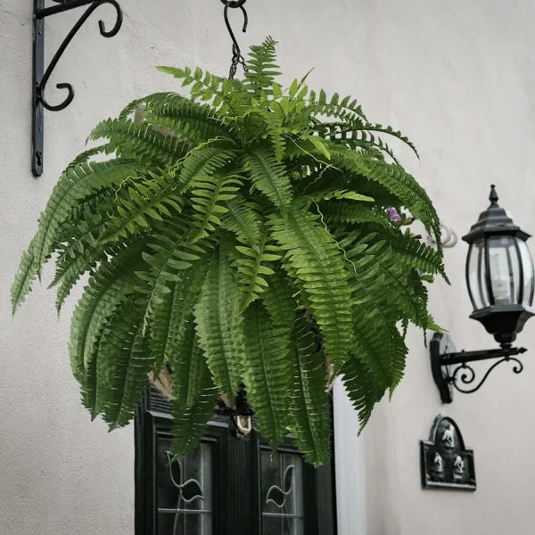 💥This Week's Special Price $19.99🌱UV Resistant Lifelike Artificial Boston Fern mysite