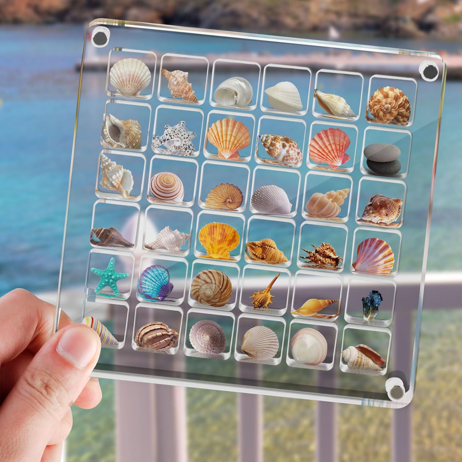 Acrylic Magnetic Seashell Storage Box | Uber7 – uber7