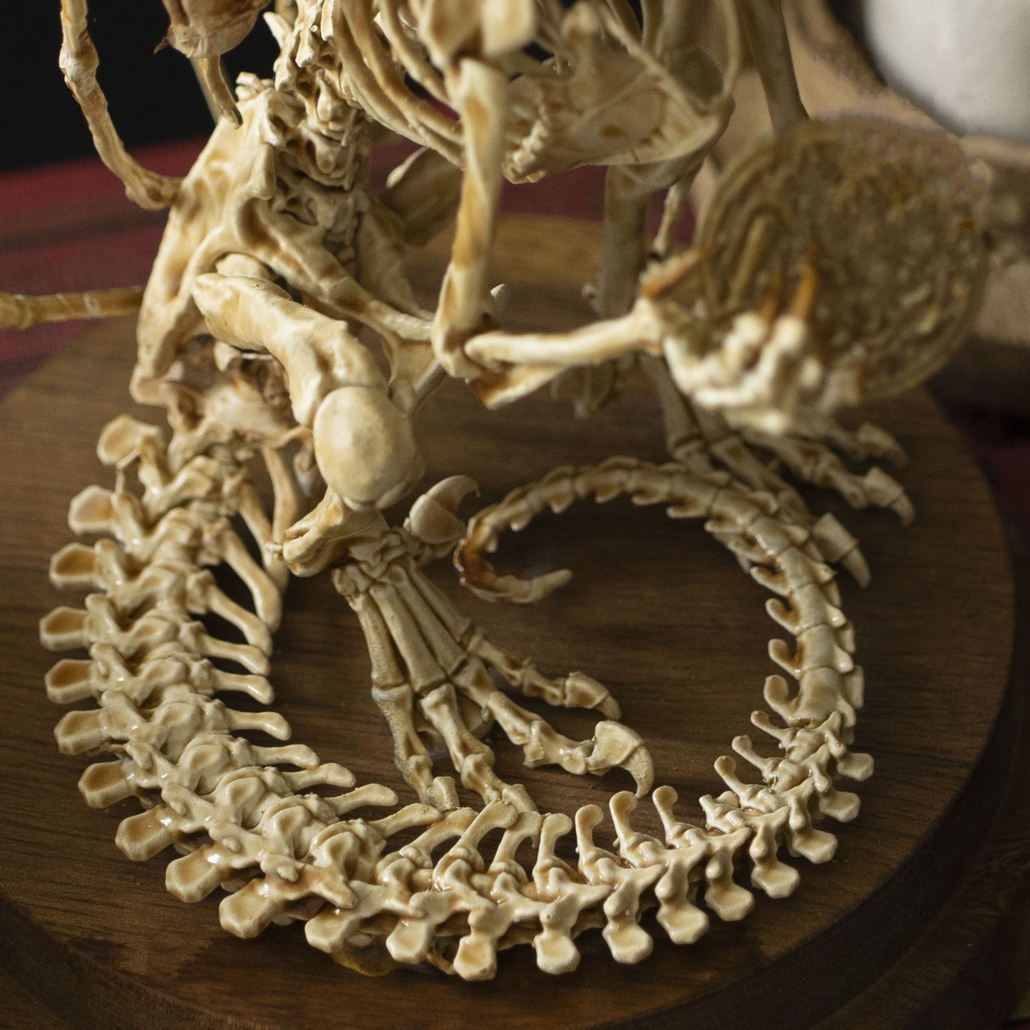 🔥🔥🔥Holiday Day Promotion 40% OFFWENDIGO SKELETON CURIOSITY CABINET  - Buy two and get free shipping!