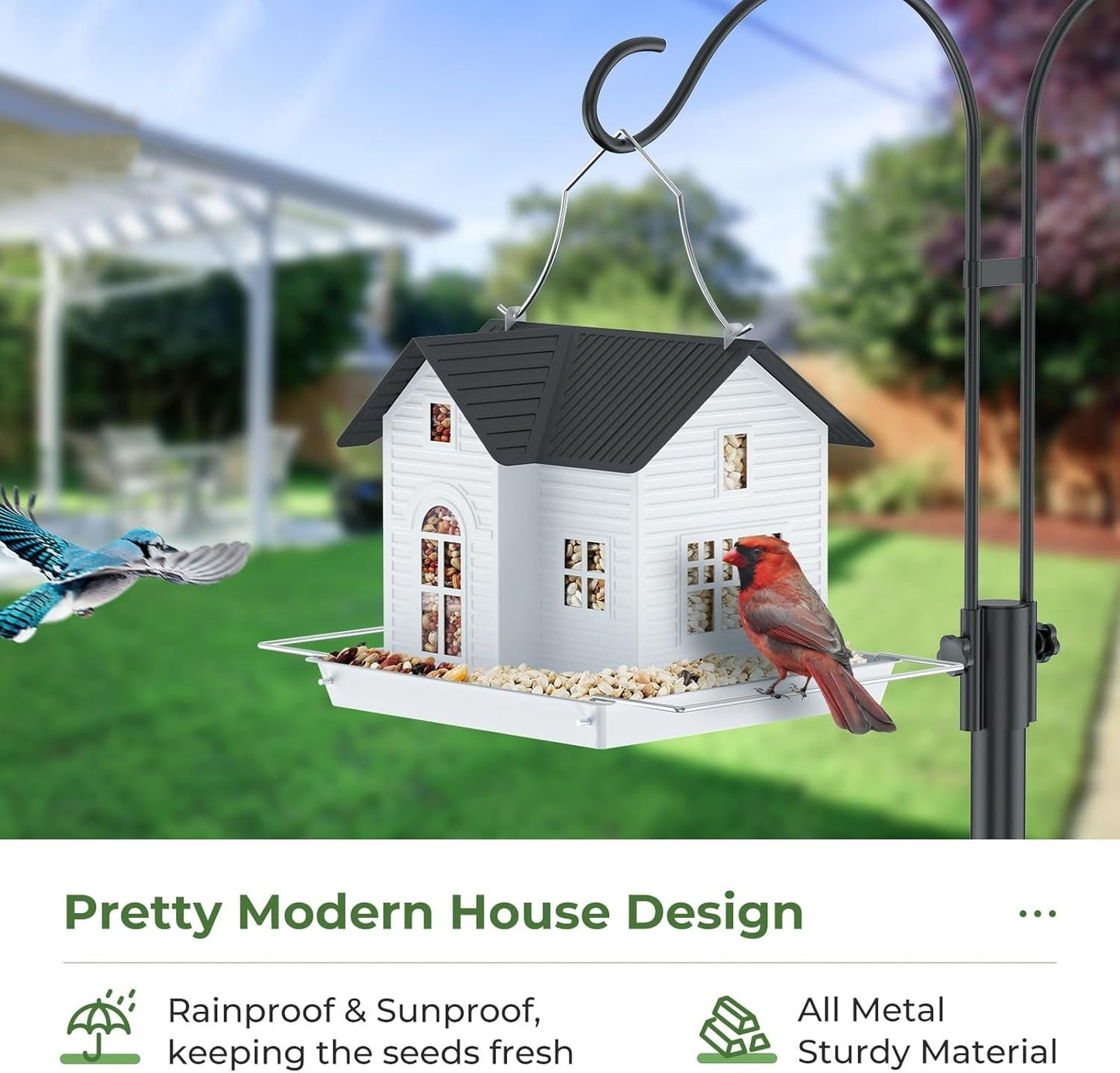 🔥Solar Bird Feeder