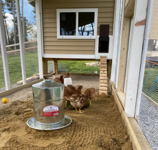 Automatic Chicken Coop Door