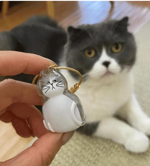 [Buy More Save More]10Pcs Cat Fur Collection Capsule, Cat Fur Memory Charm, Which Can Be Used as a Keychain