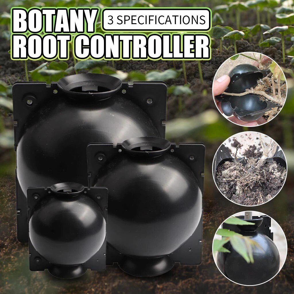 🌱Plant Root Growing Box mysite