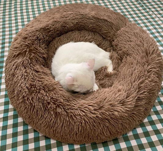 🔥Comfy Calming Dog/Cat Bed