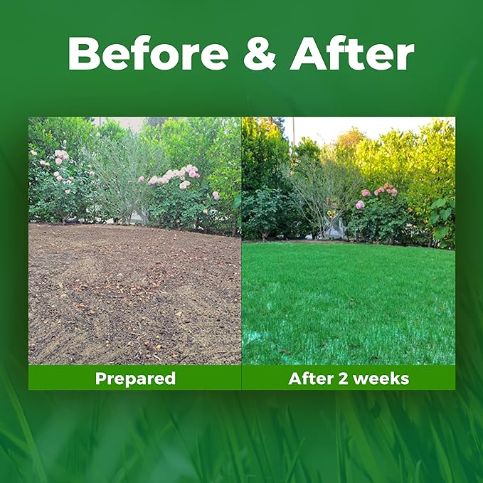 🔥BUY 3 GET 3 FREE (6PCS)🔥 Grass Seed Mat- 2MIN TO INSTALL mysite