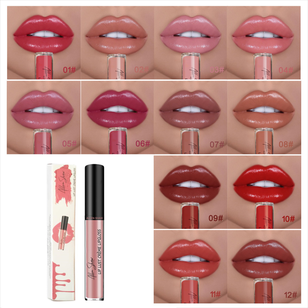 12 COLOR WATERPROOF LONG LASTING MOIST LIP GLOSS PLUMPER LIQUID LIPSTICK mysite