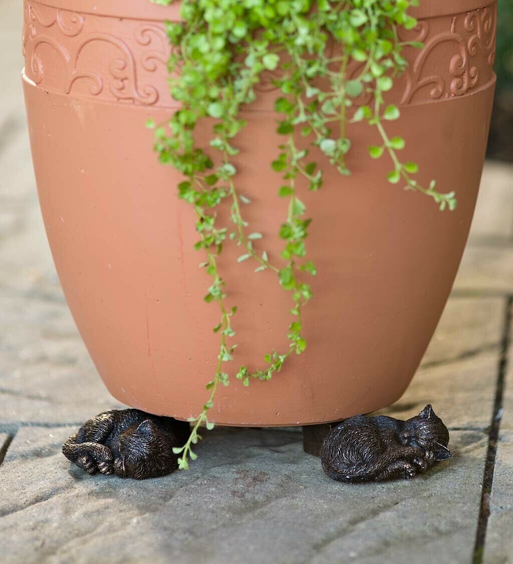 Potty Feet Plant Pot Feet mysite