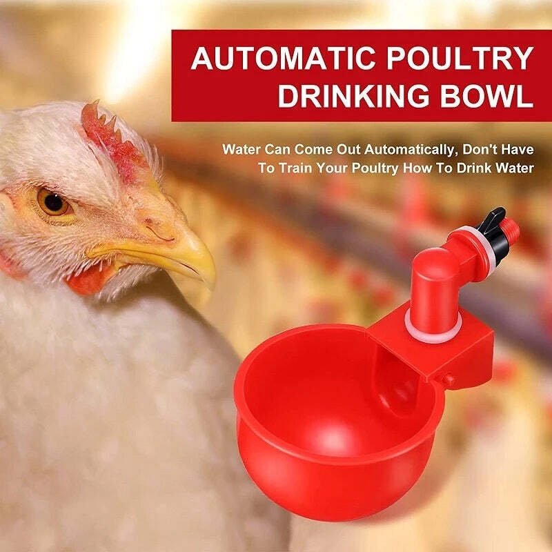 Automatic Chicken Water Cup Bird Coop mysite