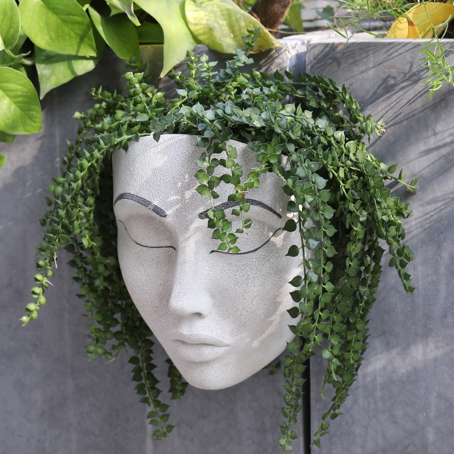 🔥Fill your garden with art🎁Plant Faces mysite