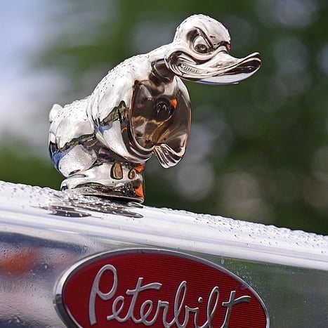 Limited Time Promotion🔥 Angry Duck Hood Ornament Death Proof mysite