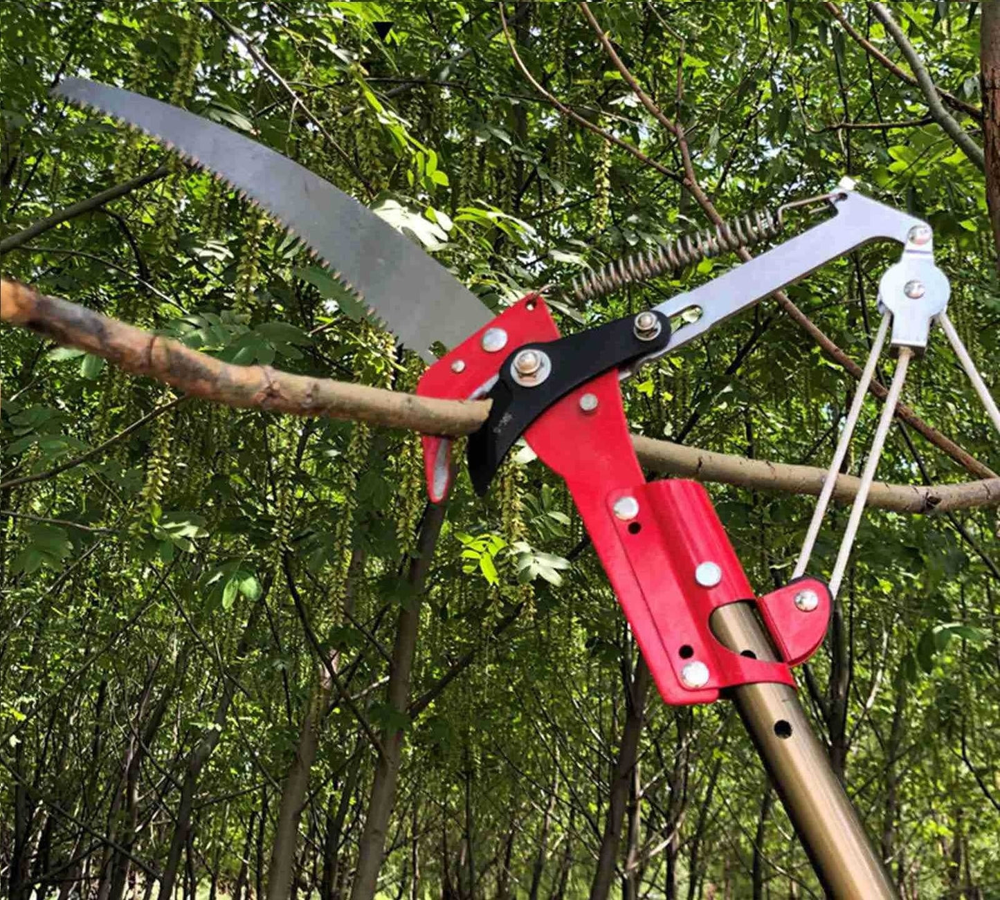 Professional telescopic pruning shears mysite