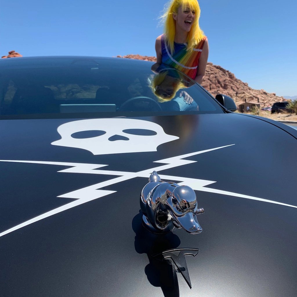 Limited Time Promotion🔥 Angry Duck Hood Ornament Death Proof mysite