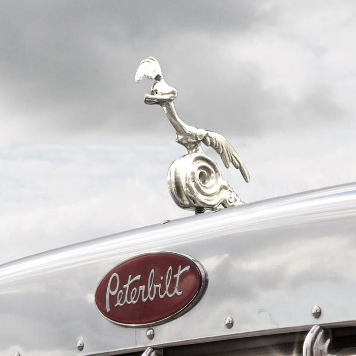 Road Runner Hood Ornament - Car Decorative Arts mysite